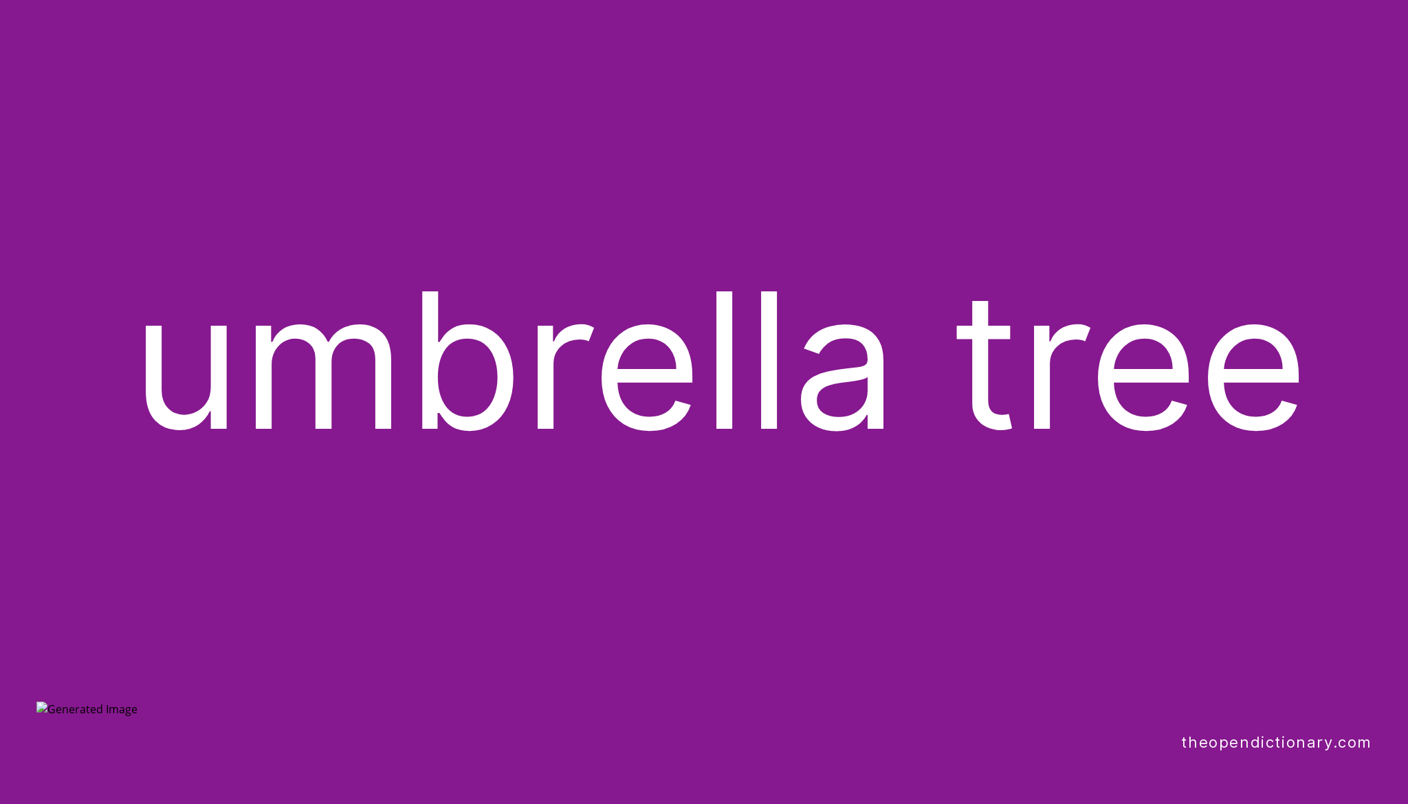 Umbrella tree Meaning of Umbrella tree Definition of Umbrella tree